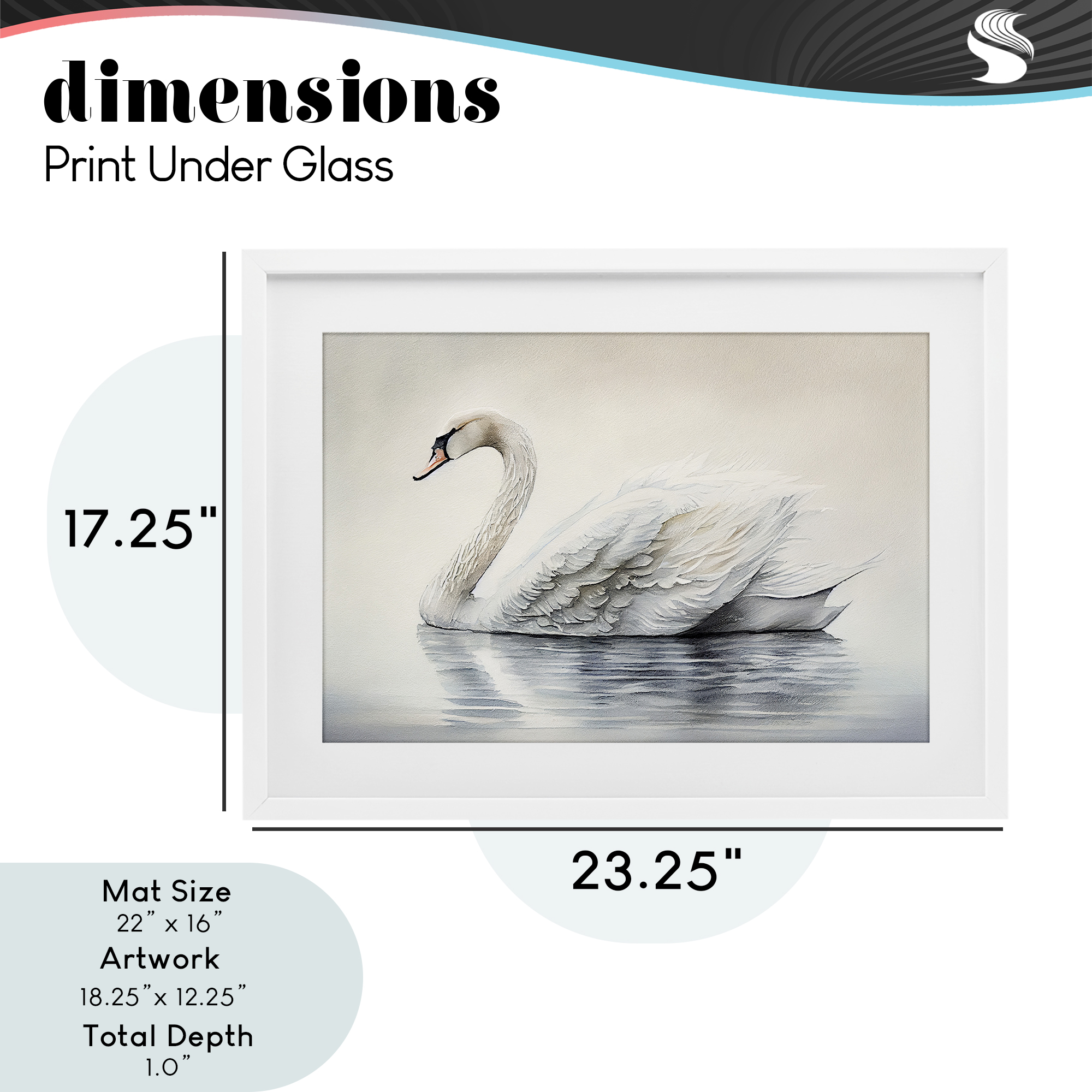 Elegant Floating Swan White Framed Print Under Glass, design by Sasha