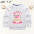 thumbnail image 2 of Anuncio de sudaderas para niños con estampado de "Me ascienden a hermana mayor" en 2024, ropa para niñas embarazadas y mamás, sudaderas con capucha para bebés y niños, 2 of 5