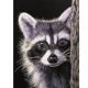 thumbnail image 1 of Cuadros Decorativos 5D DIY perro mapache diamante imagen resina arte completo redondo Rhinestone pintura Kit DQrwqpou Nuevos Originales, 1 of 8