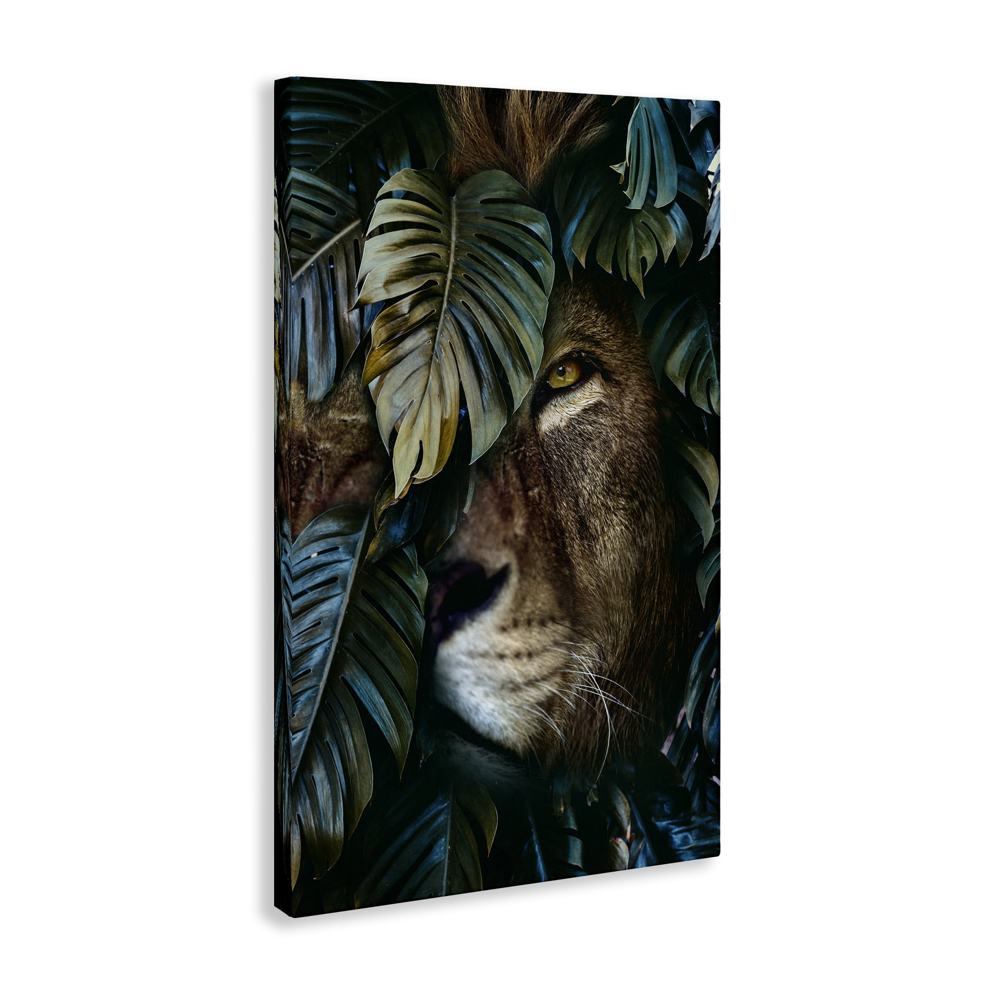 Stupell Industries Lion Peering Monstera Leaves Plants & Flowers Painting Wrapped Canvas Art Print Wall Art, 20 x 30