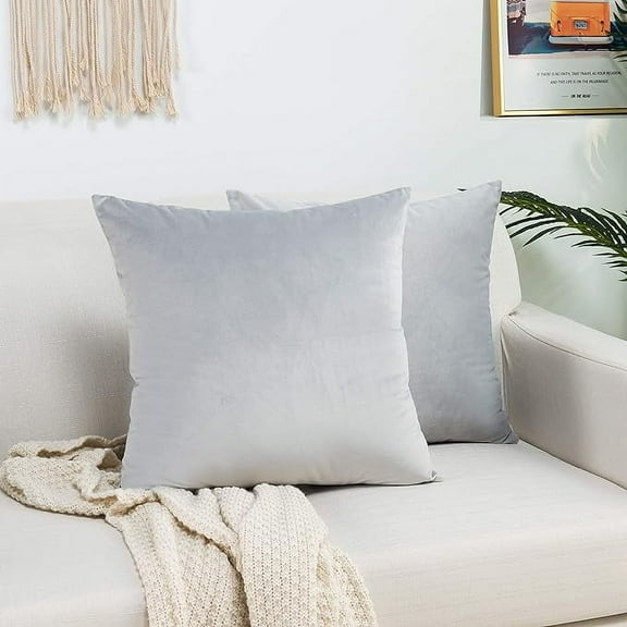 Knubmt 2 Pack Square Throw Pillow Covers with Zipper, Decorative Soft Velvet Pillows Case Cushion Case for Couch Sofa Bed, 16 x 16 inches