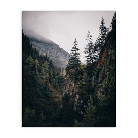 Stupell Industries Rustic Lodge Rustic Mountain Landscape Canvas Art, 16 x 20, by Daniel Sproul