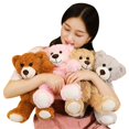 thumbnail image 3 of Bears Stuffed Animals Plush Toys Cute Stuffed Teddy Bear Plush Soft Bear Shaggy Bear for Baby Shower Gender Reveal Birthday Gifts, 3 of 5