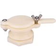thumbnail image 3 of Honey Tap, Bee Honey Tap Gate Valve Beekeeping Extractor Bottling Tool Beekeeper Equipment With Stainless Steel Screws For Extractor, Honey , Or Bottling Pail, 3 of 8