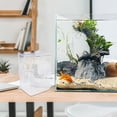thumbnail image 4 of WEUVEB 3Ud De Crianza Transparente Para Peces Pequeños Con Ventosa Para Acuarios Decorativos, 4 of 8