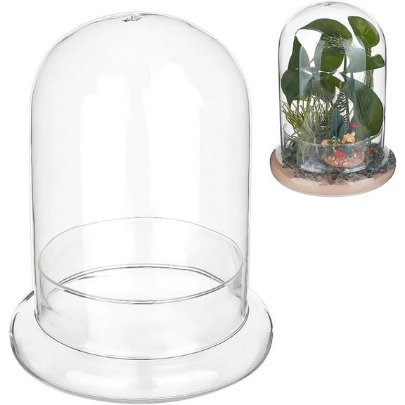 1 pc Decorative Glass Dome Cover 5.9×7.9 Inch Terrarium Display Dome Clear Glass Display Dome Cover with Base for Centerpieces Plants Rocks Specimens Decorations Crafts