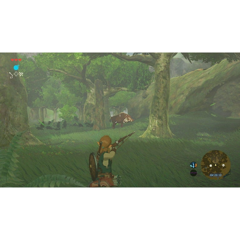The Legend of Zelda [Breath of the Wild] (Nintendo Switch) NEUF