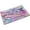Cherry Blossom Hummingbird, variant on Welcome Paws Doormat Indoor Outdoor Patio Cute Dog Paw Print Door Mats Non-Slip Entrance Mat for Home,Outside Entry,Yard,Floor,Patio 17x30INCH