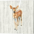 thumbnail image 4 of Metaverse Emily Adams 'Into the Woods no Border on Barn Board' Canvas Art (Set of 4), 4 of 5