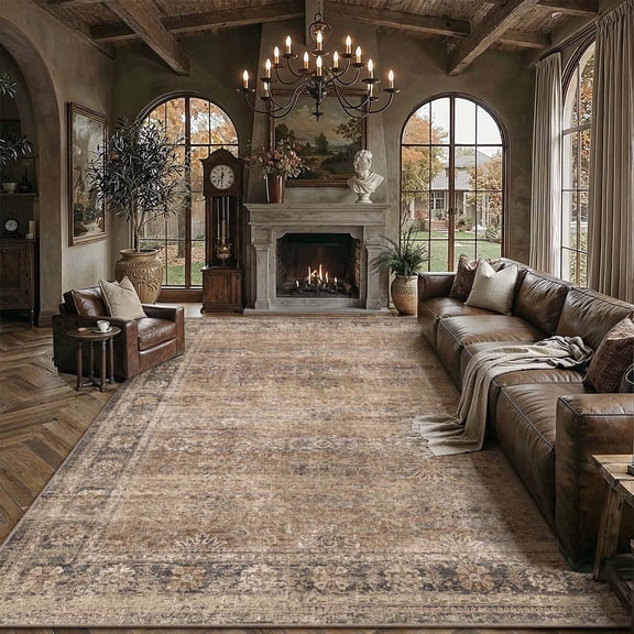 BERTHMEER 5'x7' Area Rugs for Living Room Bedroom Dining Room Kitchen Brown Rugs Non Slip Washable Farmhouse Office Oriental Vintage Distressed Rugs Carpets