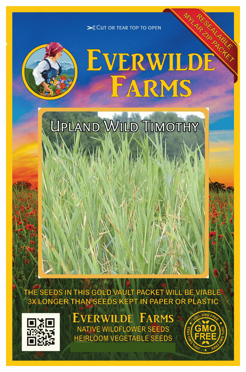 Everwilde Farms 1000 Upland Wild Timothy Native Grass Seeds Gold