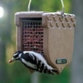 thumbnail image 2 of Birds Choice ACORN Peanut Feeder, Acord-Shaped Bird Feeder, 1 Quart, Taupe, 2 of 10