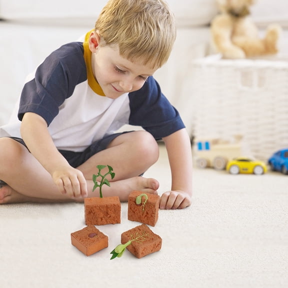 ABPWLY Toys 4 PC Plant Growth Cycle Figurines Set Life Stage Models Educational Toys for Kids Home Learning Gifts