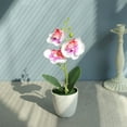 thumbnail image 3 of Moyic Amigable con las mascotas Flor artificial No tóxica para gatos y perros Planta artificial fácil de mantener Blanco + Morado Type3 NO3, 3 of 6