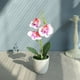 thumbnail image 5 of Planta Artificial en maceta falsa Billuyoard Flor Artificial duradera de apariencia realista Decoración del hogar Blanco + Morado, 5 of 6