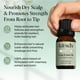 thumbnail image 3 of Kitsch Rosemary Oil for Hair Growth – Hair Oil with Biotin, Castor & Jojoba – Pre-Wash Scalp oil for Hair Care – Lavender Scent – 10mL, 3 of 4