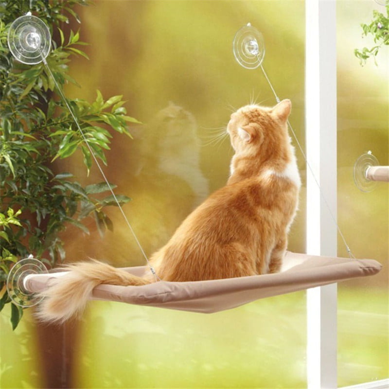 Cat Window Mounted Sunshine Bed Pet Wall Pet Home Suction Cups Conservatory 