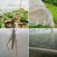 thumbnail image 6 of Keyohome Garden Mesh Netting,8.2 x 33 Ft Garden Netting,Bird Insect Netting Mesh Cover,Ultra Fine Mesh Protection Netting for Vegetable Plants Fruits Flowers Crops Tree Greenhouse, 6 of 16