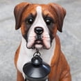 thumbnail image 5 of Boxer Solar Lantern Statue – Resin Dog Sculpture with LED Light for Garden, 5 of 6