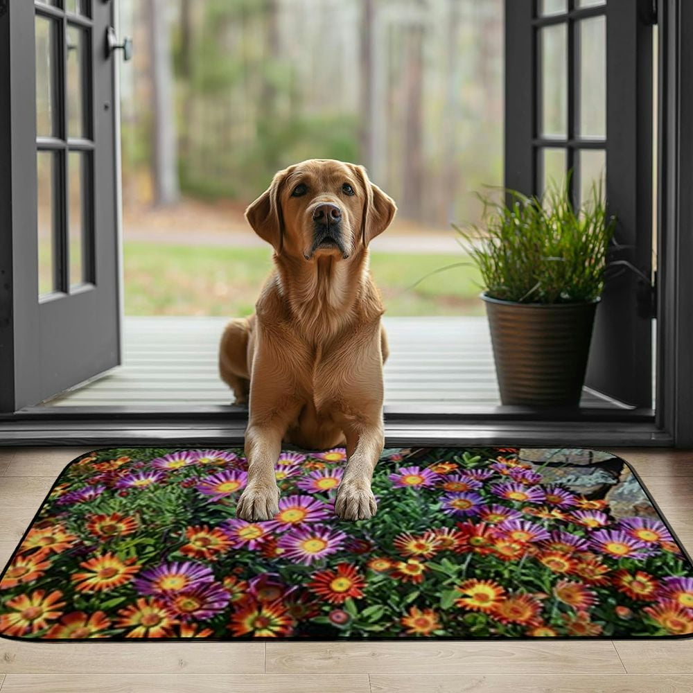 PHYHOO Doormat Floor Rug/Mat - Ice Plant Delosperma Blossom Bloom Flower Decorative Door Mat, Door Mat with Non-Slip Rubber Backing, Easy Cleaning, Traps Dirt, Rug for Entry, Patio
