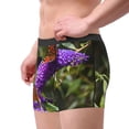 thumbnail image 2 of KLL butterfly bush flower Men's Cotton Boxer Briefs Underwear-X-Large, 2 of 5