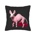 thumbnail image 4 of Set of 2 18x18in Throw Pillow Covers - Minimalistic Pink Camel Design for Couch Bed or Car - Stylish and Artistic Accent Decor, 4 of 8