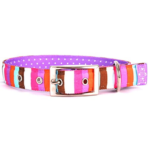 Yellow Dog Design Multi-Stripe Uptown Dog Collar, Medium-1" Wide and fits Neck Sizes 15 to 18.5"
