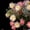 Hot Pink, variant on 10 Ft 20 LED Purple Rose Fairy Lights for Shelf Window and Mantle Decor with Flexible Copper Wire for Events, Purple