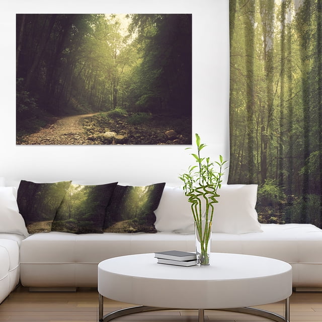 Wild Way into the Dark Forest - Impression sur Toile Forest