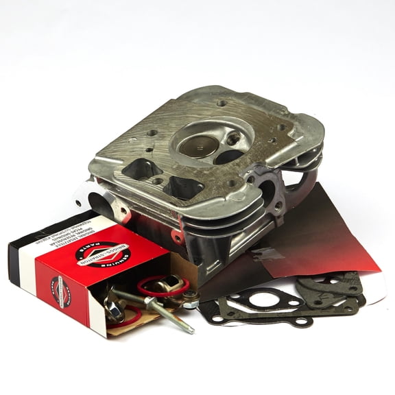 Briggs and Stratton Cylinder Head
