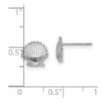 thumbnail image 2 of 14k White Gold White Scallop Shell With Beaded Tips Post Earrings 8.02x8.51mm Wide Stud Earring for Women, 2 of 2