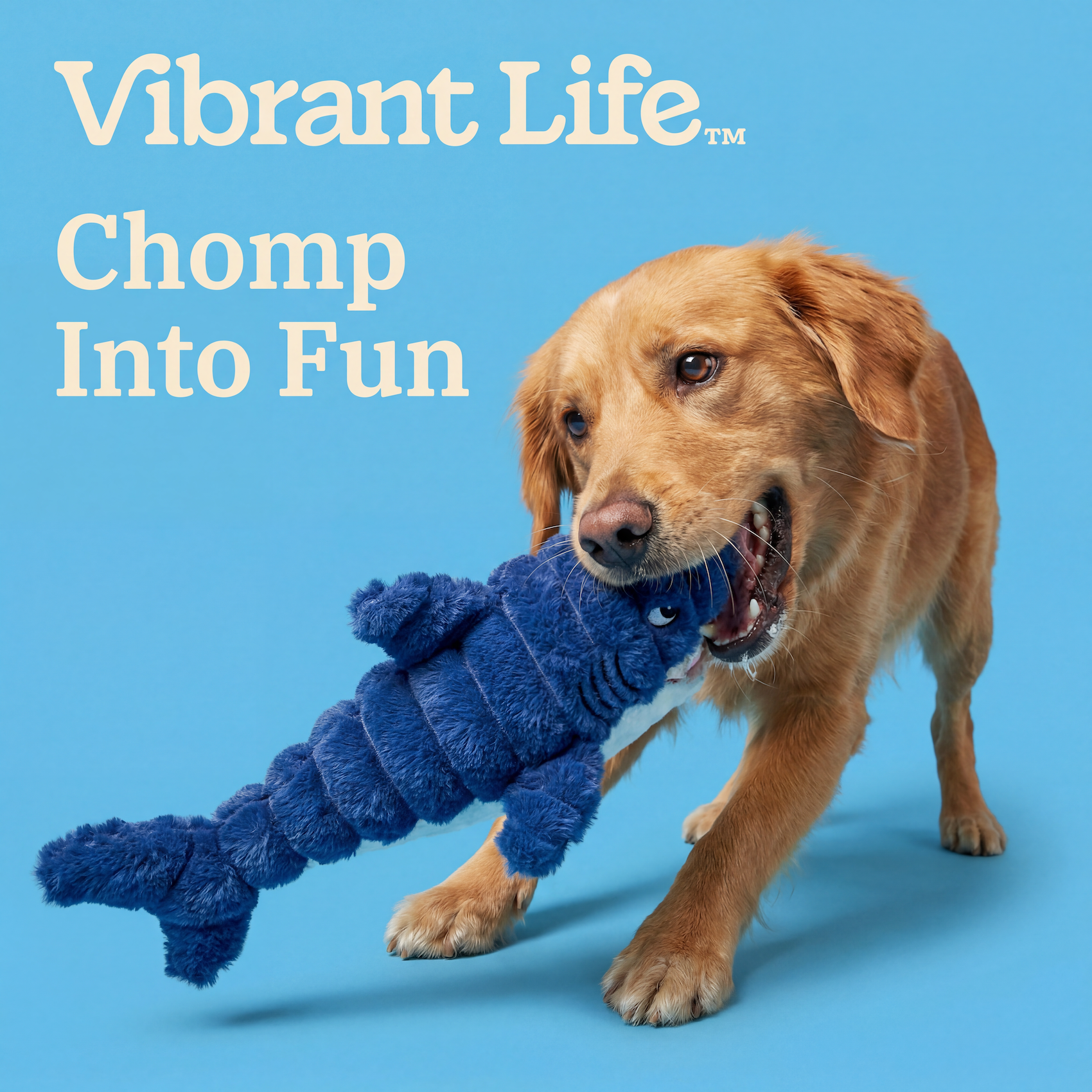 Vibrant Life Blue Shark Plush Dog Toy with Squeaker photo 4