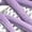 Purple, variant on Novetra Men's Basketball Shoes Lightweight Breathable Mesh High-Traction Outsole Gym-Friendly Sneakers Running - PINK_4