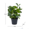 thumbnail image 3 of DecMode 13" Artificial Eucalyptus Plant in Realistic Leaves and Black Round Pot, 3 of 12