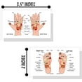 thumbnail image 2 of Reflexology Chart for Hand and Foot  50 Pack  2 x 3.5" inches Business Sized Card  Reflexology Massage  Acupressure  Body Treatment, 2 of 6
