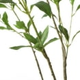 thumbnail image 4 of Noble House Hartshorn 7' x 3' Artificial Pieris Tree, Green, 4 of 8