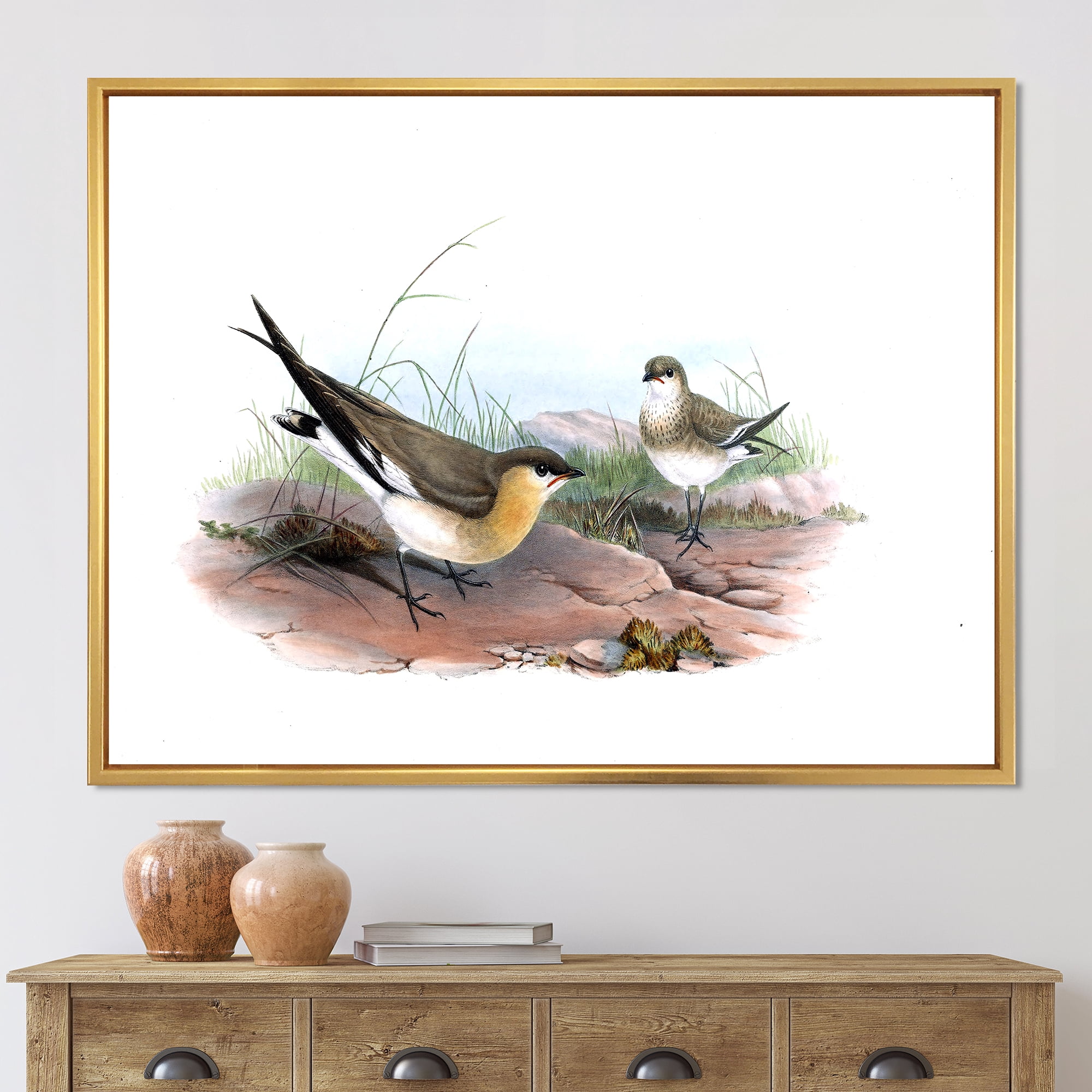 Designart 'Ancient Bird Illustration II' Farmhouse Framed Canvas Wall Art Print