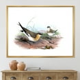 thumbnail image 2 of Designart 'Ancient Bird Illustration II' Farmhouse Framed Canvas Wall Art Print, 2 of 5