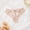 c01Beige, variant on Womens Trendy Underwear Lace Bow Thongs Lingerie Breathable Brief Cheeky Ladies Underwear Panties White S