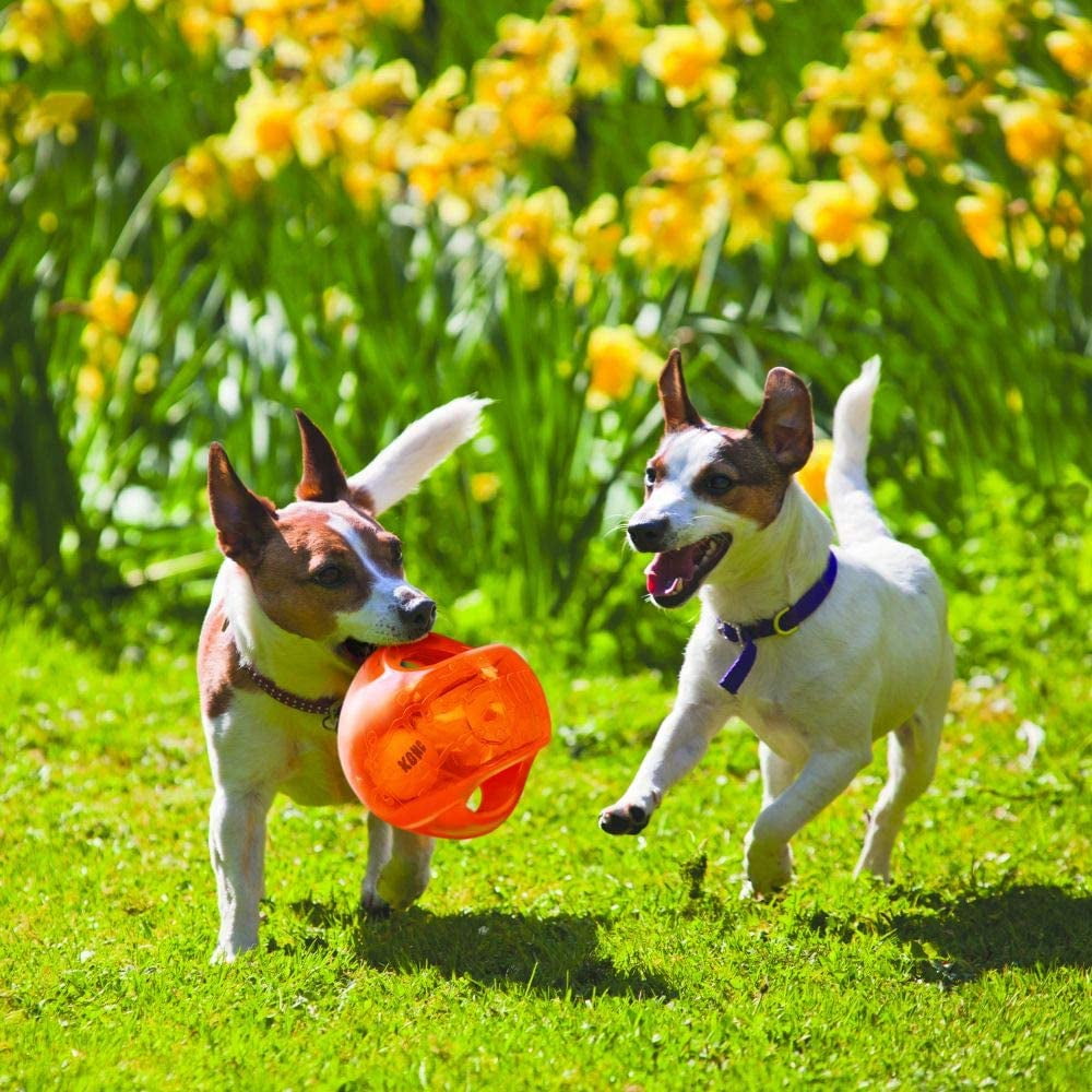 Jumbler Ball - Interactive Toy for Dog & Puppy Playtime Fetch with Tennis Supplies Engaging Play Medium/Large Dogs Assorted Colors