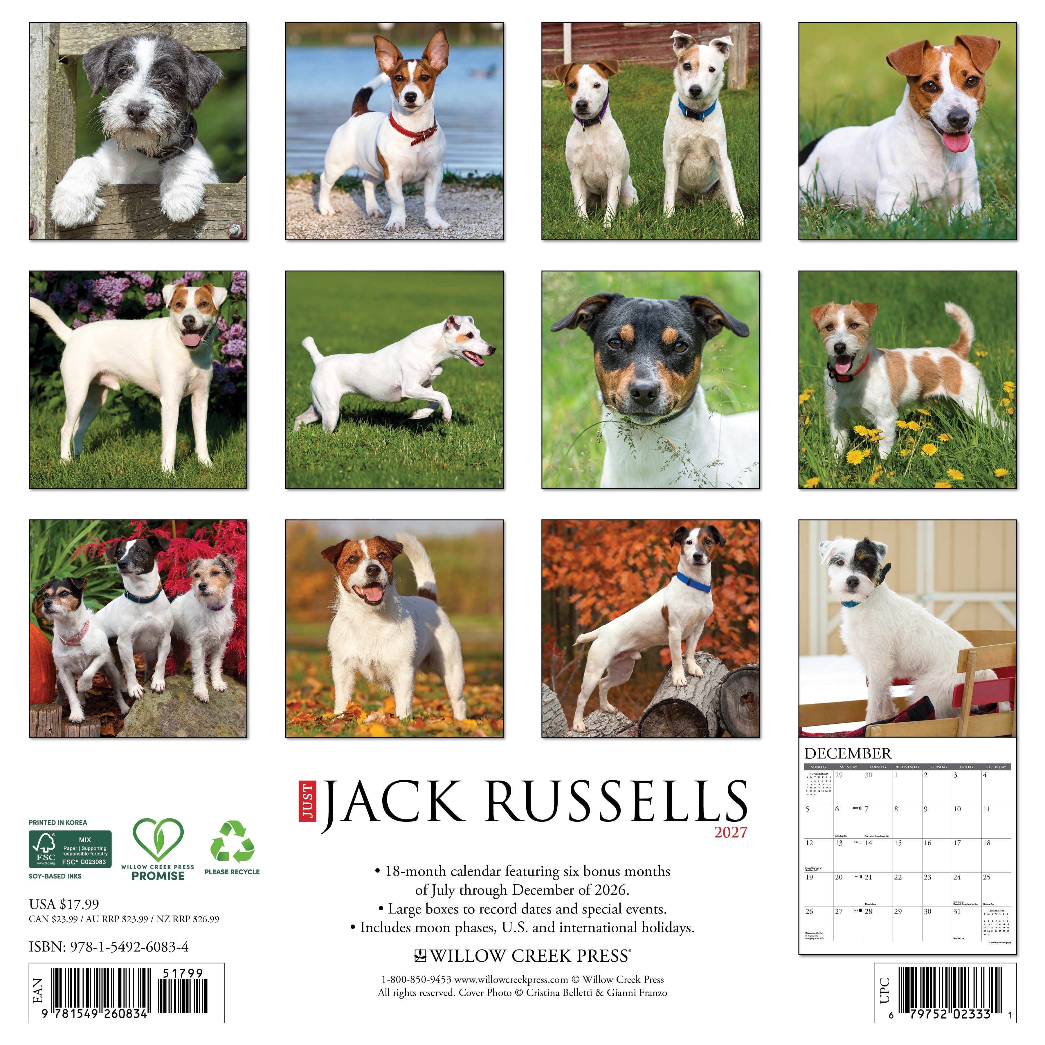 Willow Creek Press, Jack Russells 2027 Wall Calendar