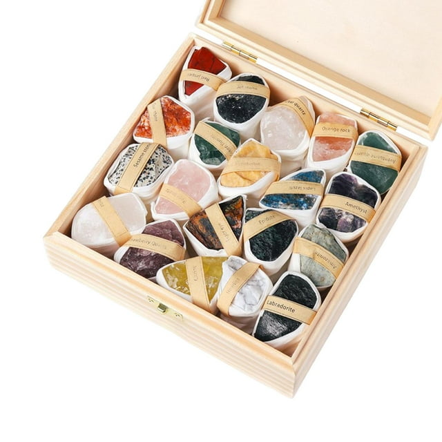 segolike Rock and Mineral Collection Archeology History Gift Learning and Educational Toy D