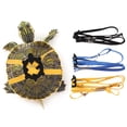 thumbnail image 1 of Adjustable Turtle Leash, Small Pets Leash and Harness, Pet Tortoise Leash Rope for Outdoor Walking Training(Blue), 1 of 6