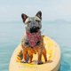 thumbnail image 4 of 4 Pieces Bandana For Dog Adjustable Dog Cat Puppy Bandana Pet Neckerchief For Small And Medium -sized, 4 of 5
