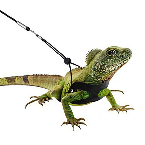 COSMOBETTY 3Pcs Reptile Lizard Harness and Leash for Small Animals in Black Color