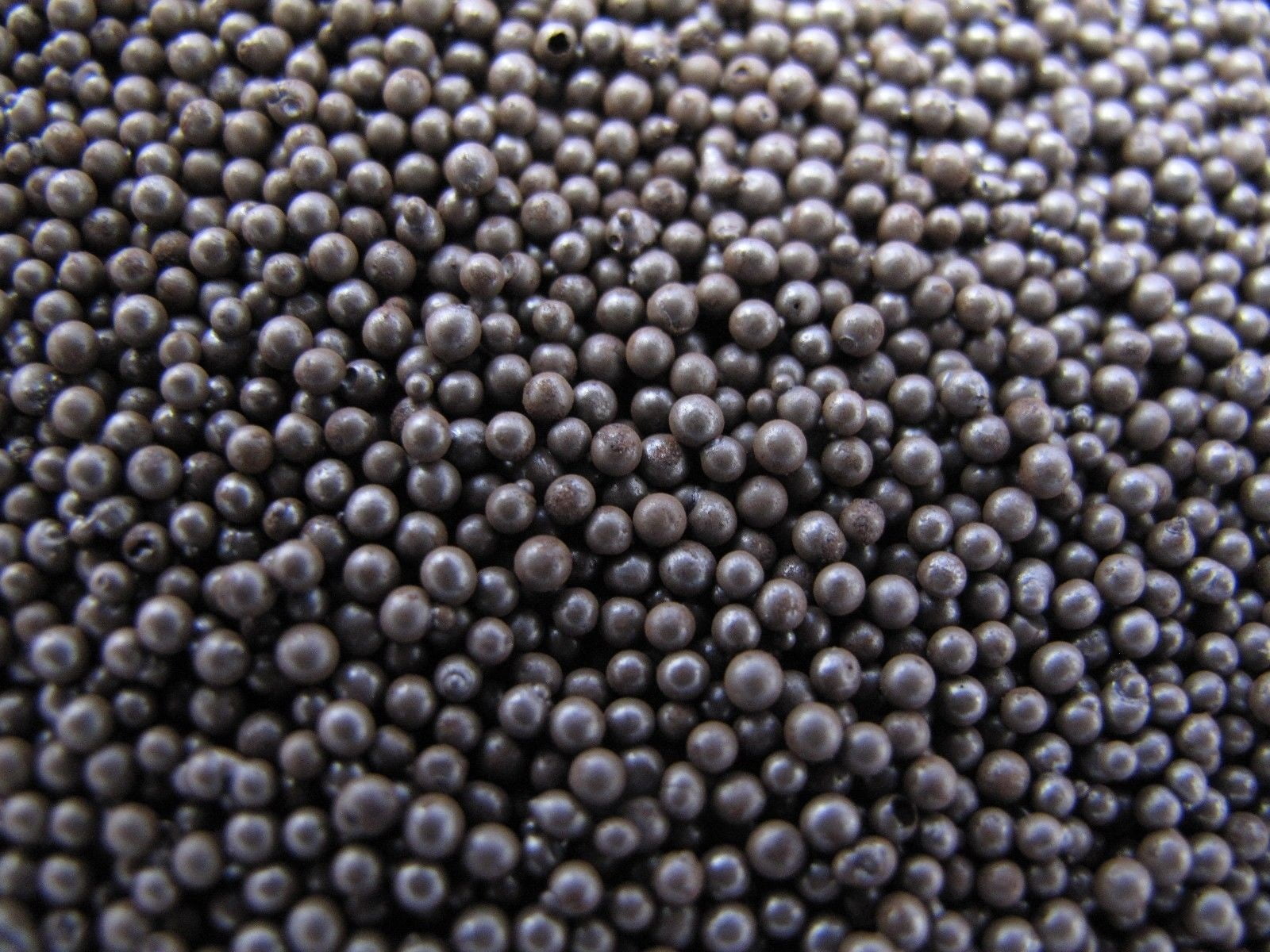 Steel Shot Abrasive Blasting Media, 460 Grit (50 LB)