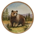 thumbnail image 3 of Certified International Mountain Summit Assorted Colors Dinner Plate (Set of 4), 3 of 4