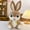 birthday decorations, variant on Cartoon Plush Doll With Long Ears And Big Eyes, Super Soft Plush For Baby Soothing, Easter Spring Decoration And Creative Gift For Children S 1Pc 35Cm