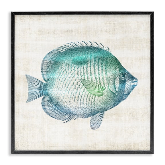 Stupell Industries Fish Impression Sea Life Animals Painting Black Framed Art Print Wall Art, 12 x 12