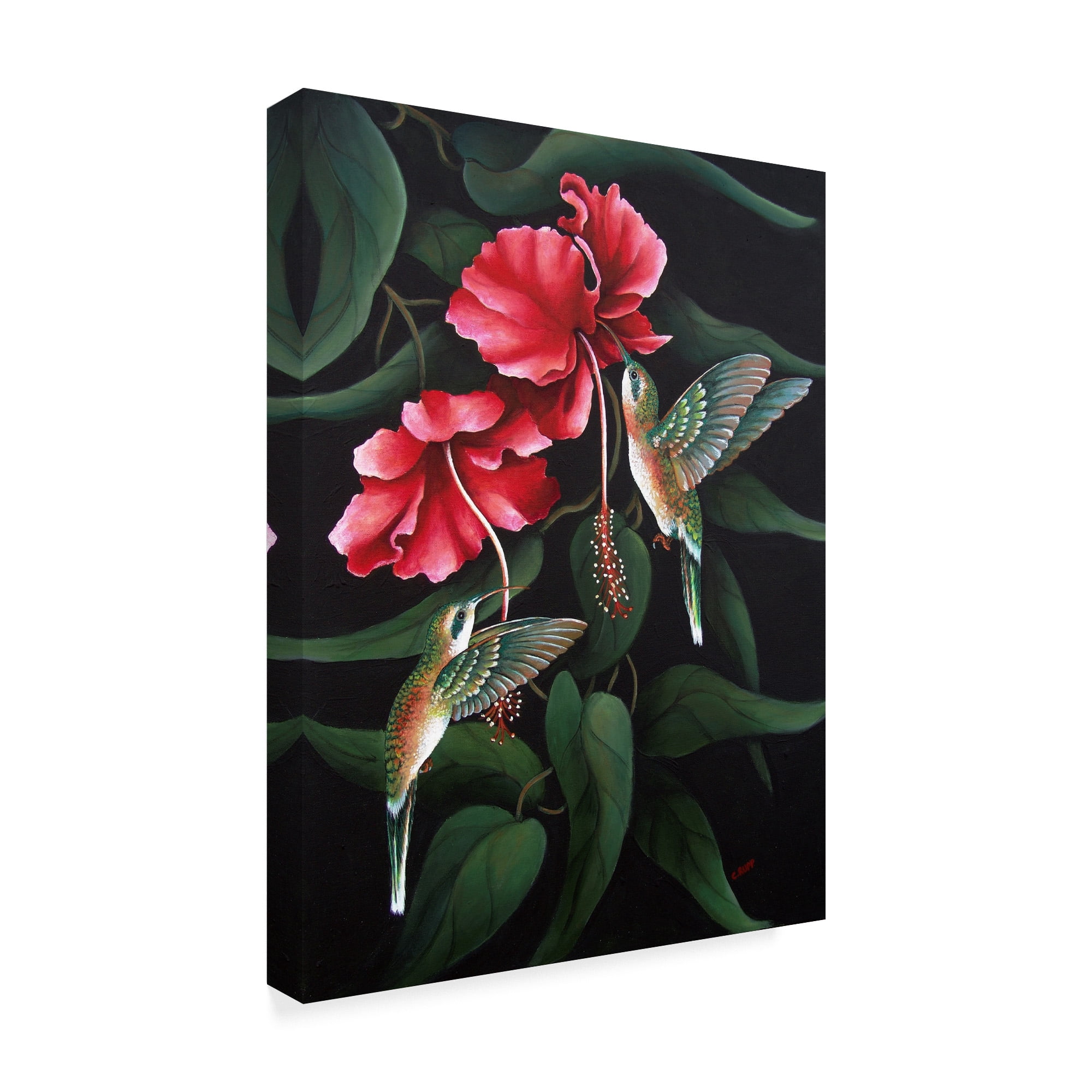 Trademark Fine Art 'Hummingbird Duet' Canvas Art by Carol J Rupp